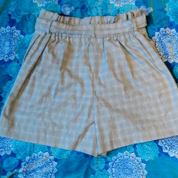 The Limited Shorts - Picture 3 of 3